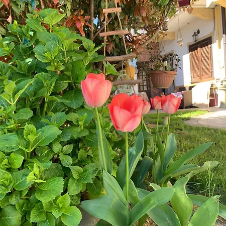 Casarte: Monolocale Terra Apartmán Alpignano