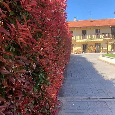 Apartmán Casarte: Monolocale Terra *